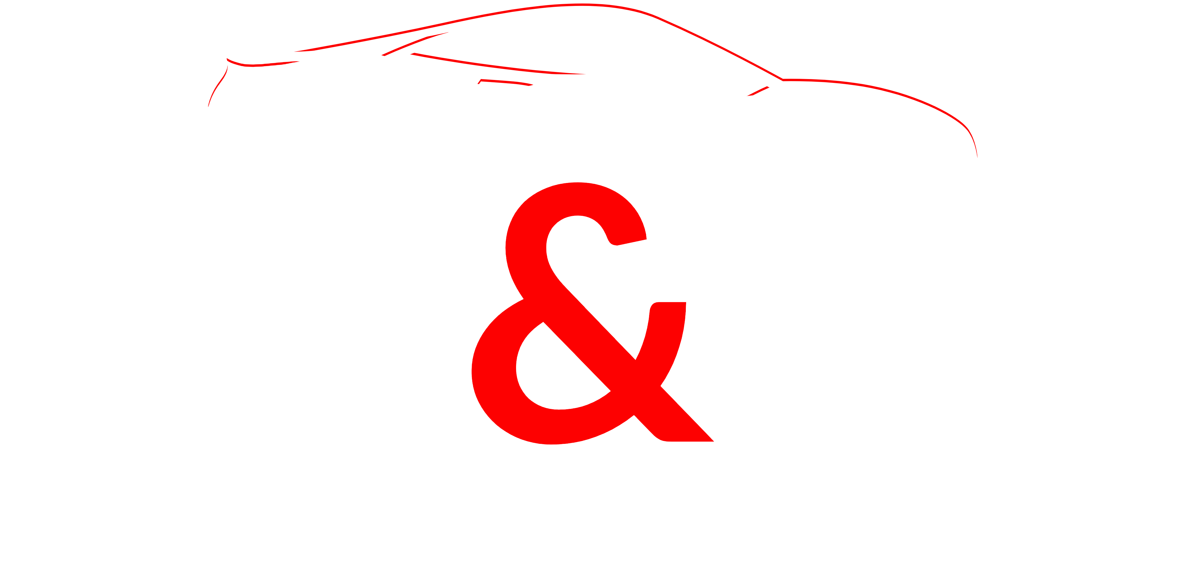 AUTOMOVILES AyD